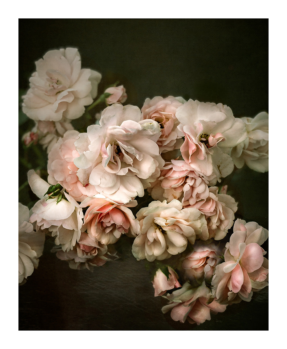 Sue Oakford Photography