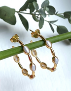 Gold Pearl Hoops