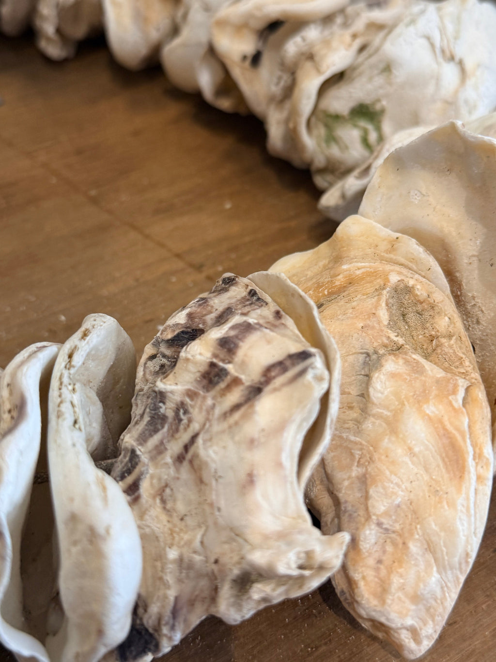 Clam Shells Garland Wall Hanging