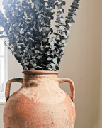 Preserved Baby Eucalyptus Bundle