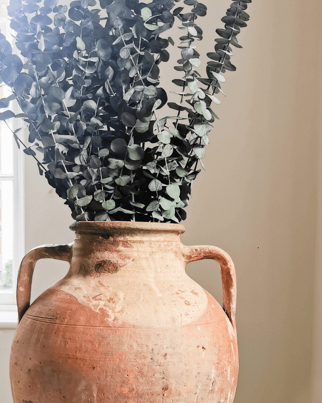 Preserved Baby Eucalyptus Bundle