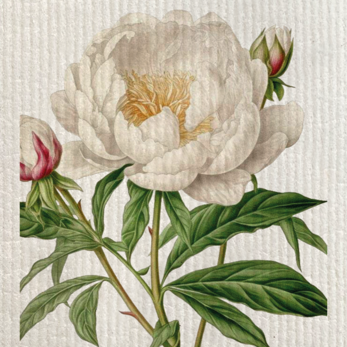 Swedish Sponge Cleaning Cloth | Assorted Floral & Botanical Designs