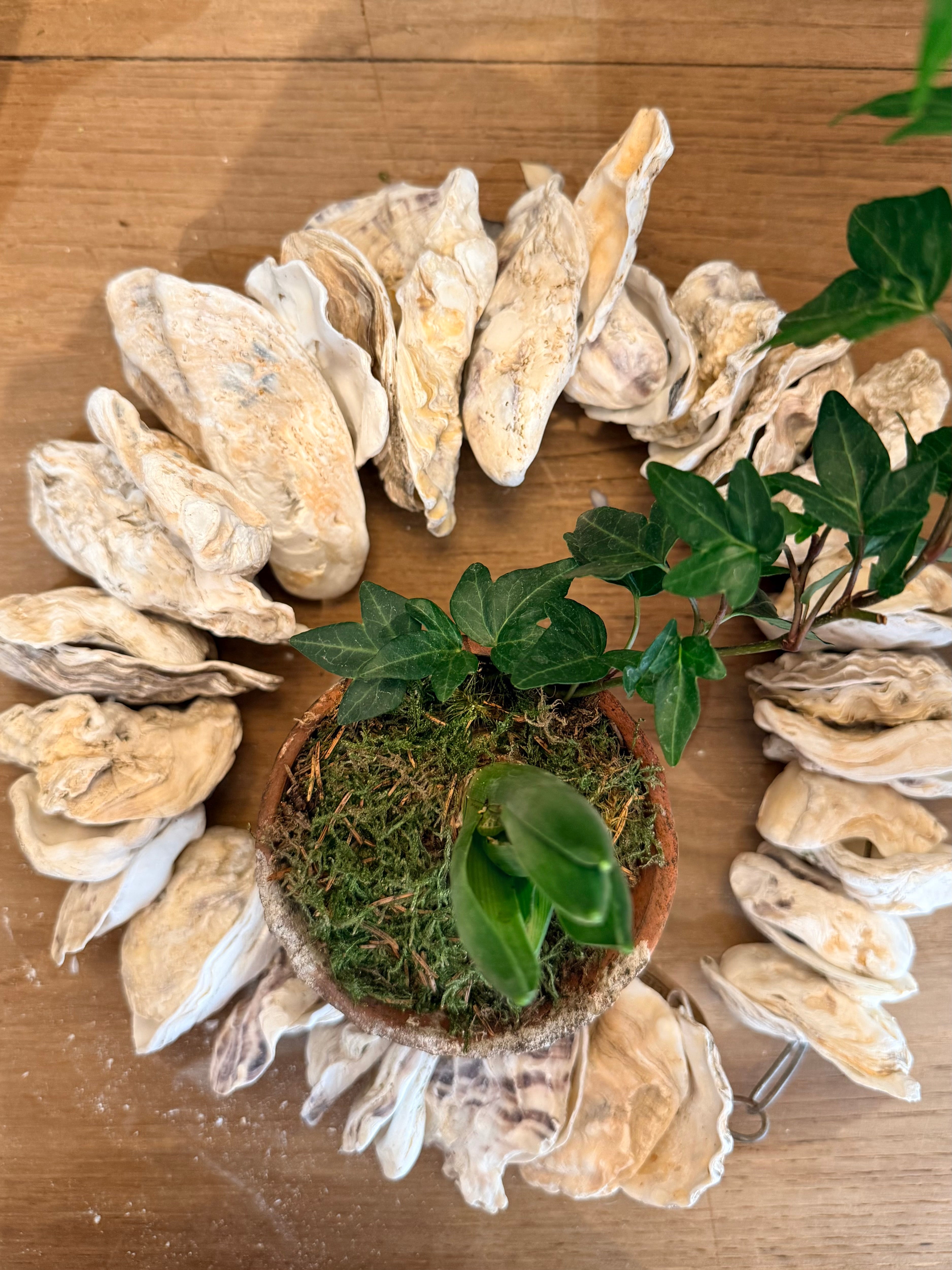 Clam Shells Garland Wall Hanging