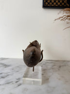 Early 20th Century West African Weaving Shuttle mounted on Perspex