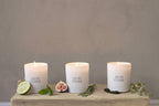 Ginger & Wild Mint Signature Soy Wax Candle