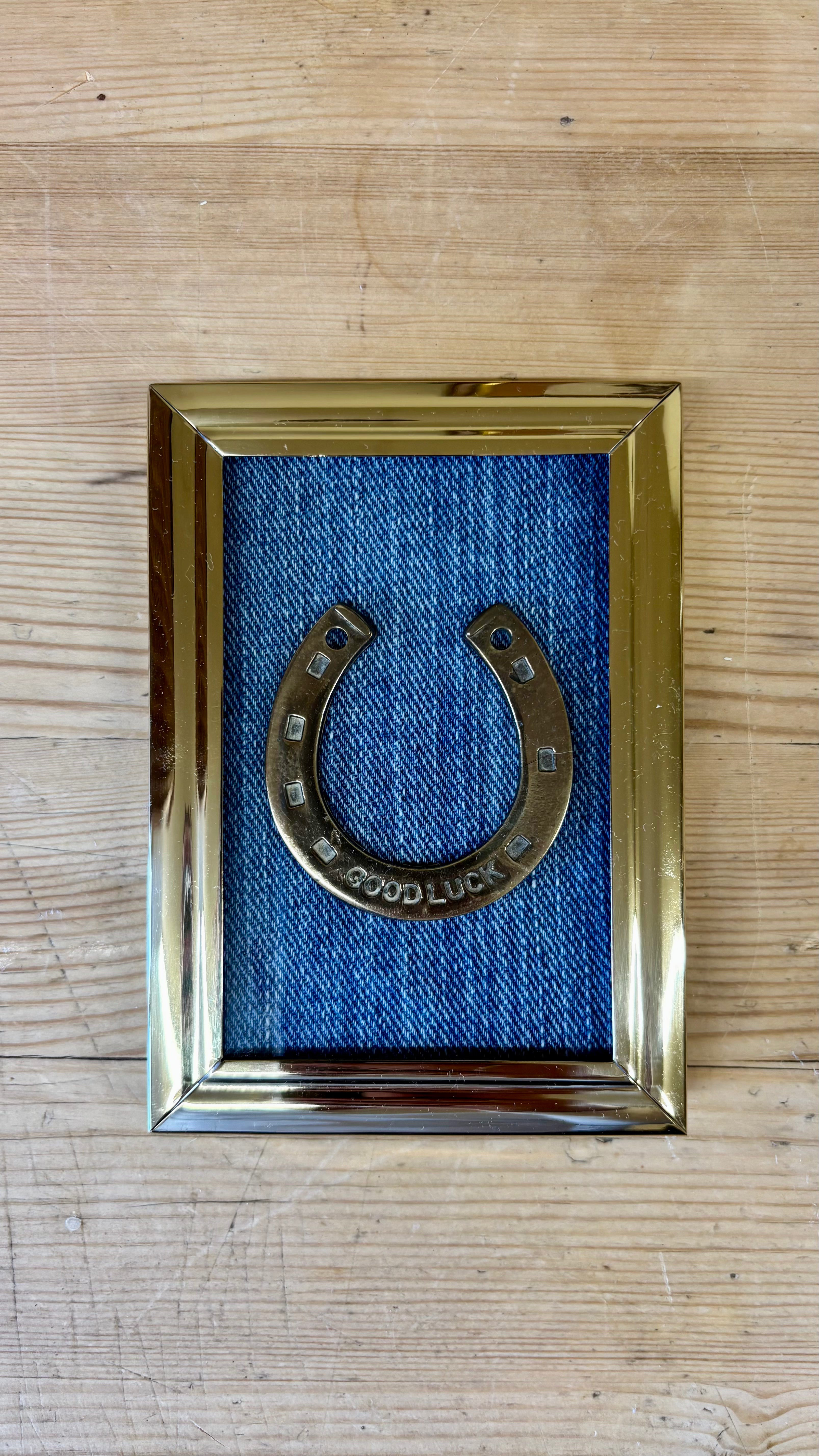 Framed Vintage Lucky Horseshoe