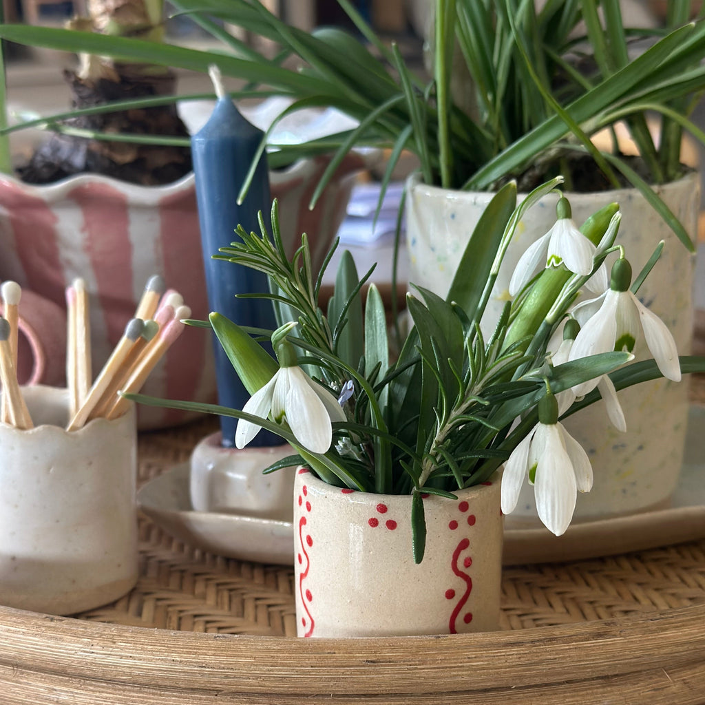 Small Pot Dots