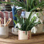 Small Pot Dots