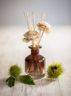 Wild Chestnut Diffuser Fragrance image 1
