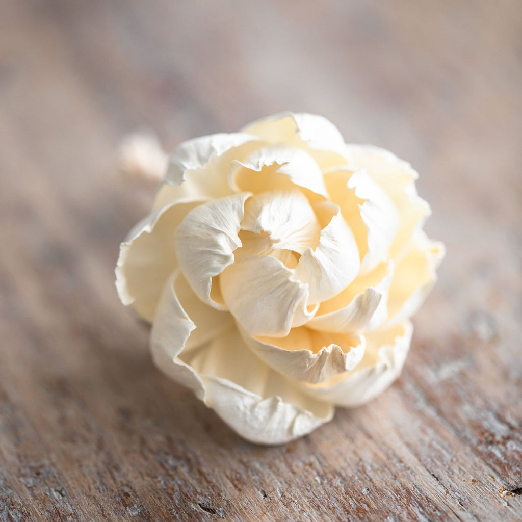 Little Peony Diffuser Flower image 0
