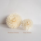 Zinnia Diffuser Flower image 2