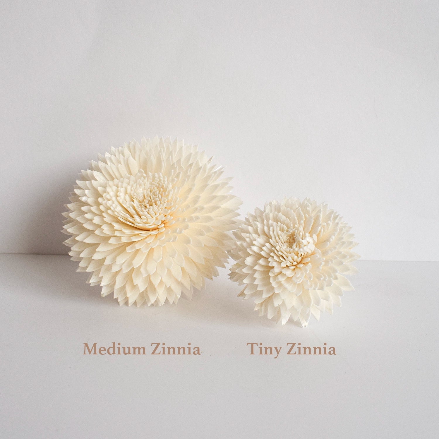 Zinnia Diffuser Flower image 2