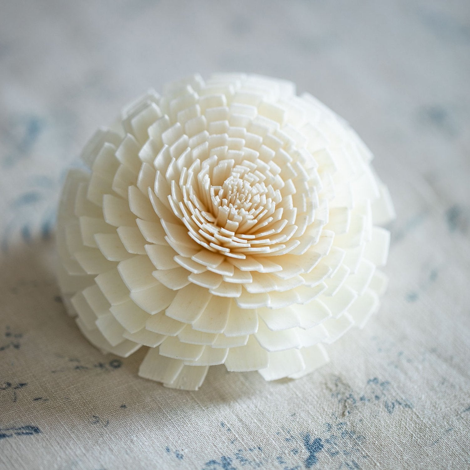 Chrysanthemum Diffuser Flower image 0