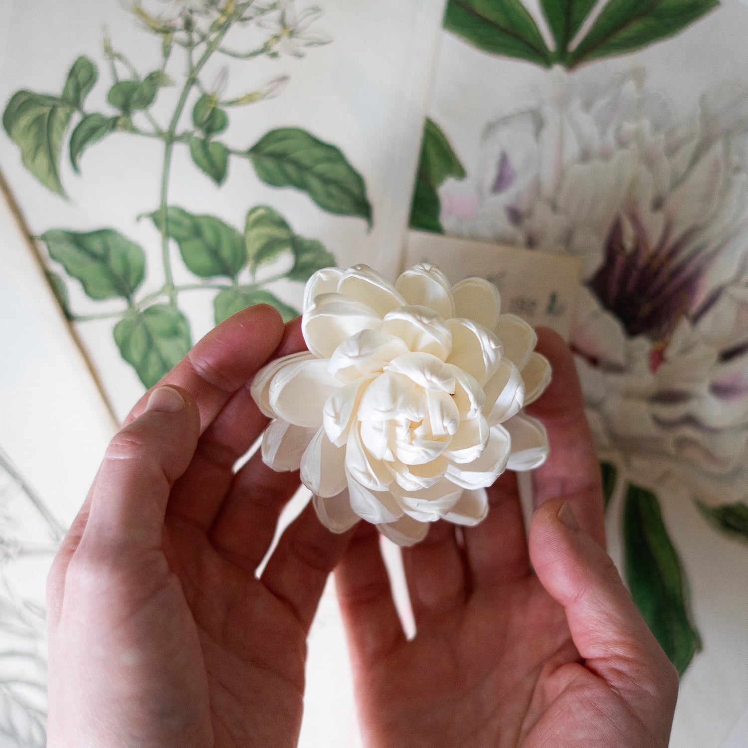 Lotus Diffuser Flower image 2