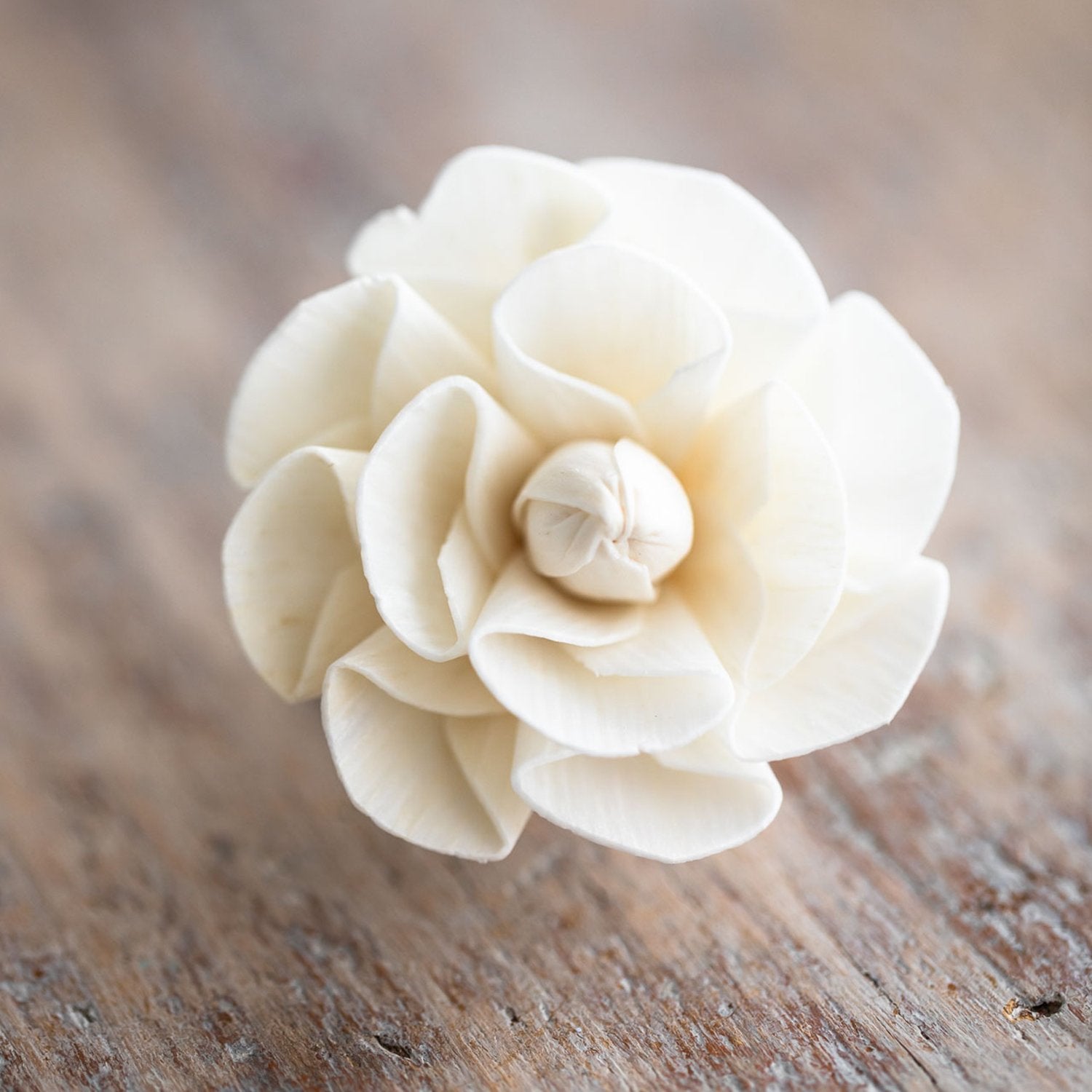 Tiny Diffuser Flower – Dahlia image 0
