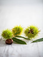 Wild Chestnut Diffuser Fragrance - 250ml large size image