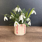 Small Pot Dots