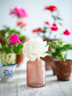 Geranium and Thyme Diffuser Fragrance image 2