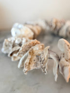 Clam Shells Garland Wall Hanging
