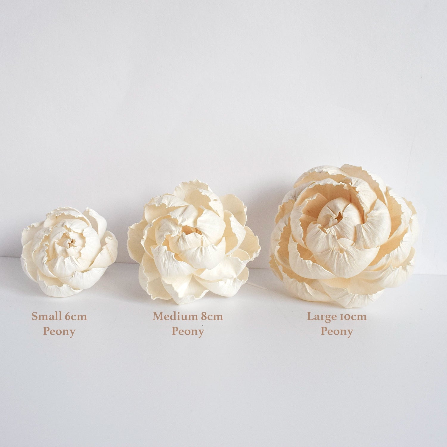 Little Peony Diffuser Flower image 2