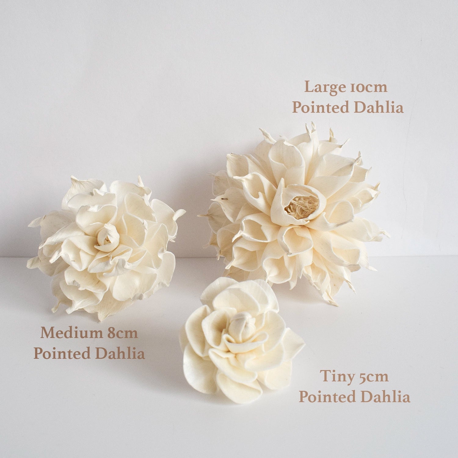 Tiny Diffuser Flower – Dahlia image 2