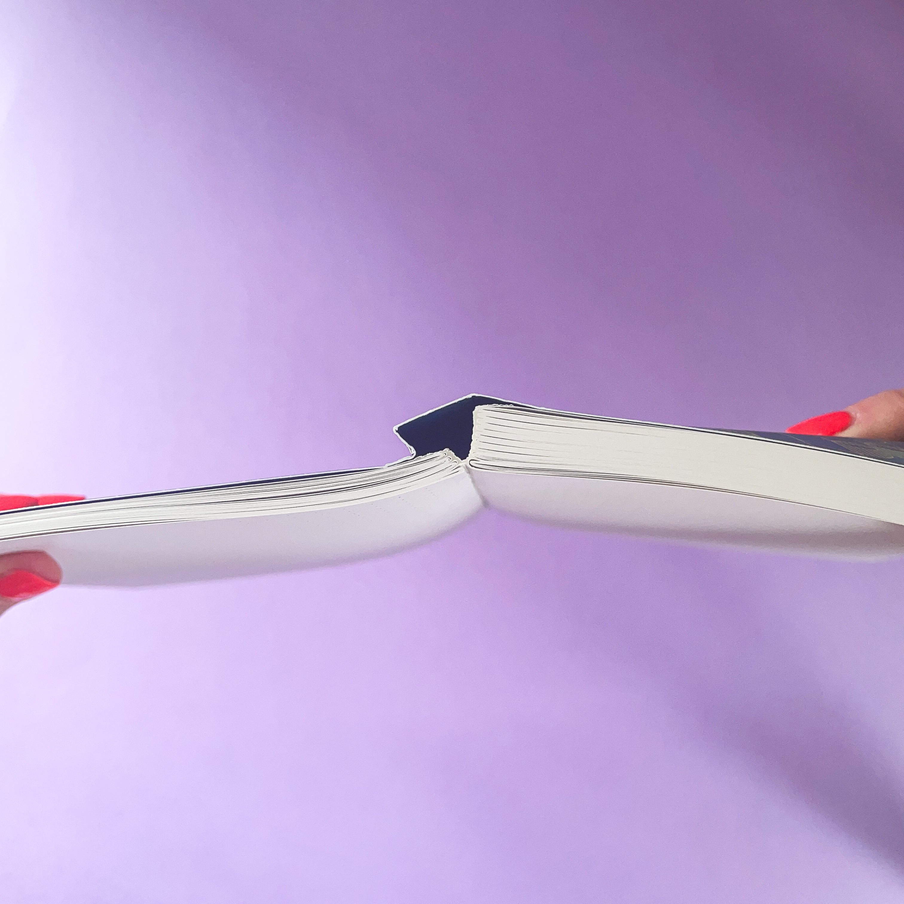 Brighton Birds A5 Lay Flat Notebook