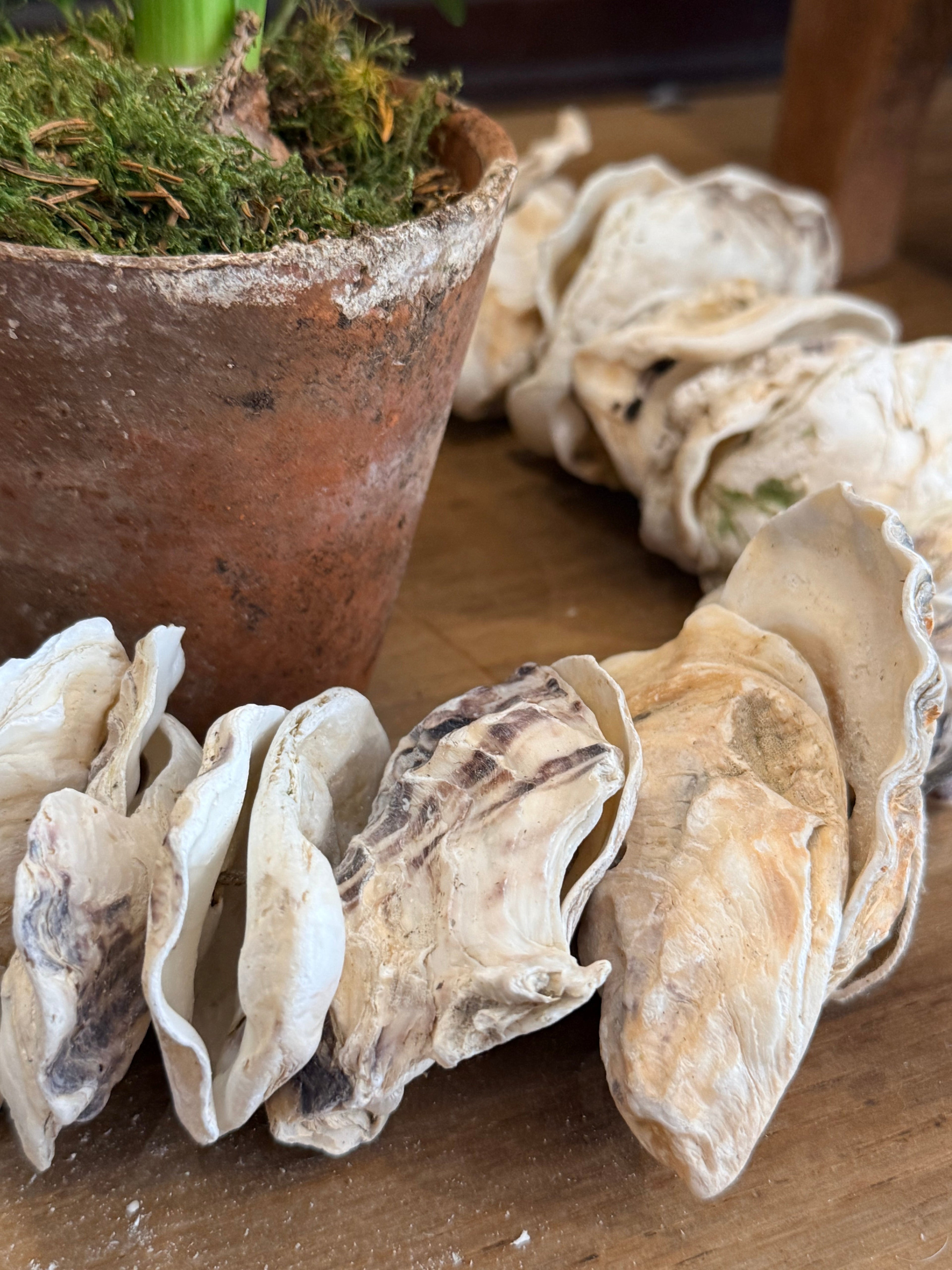 Clam Shells Garland Wall Hanging