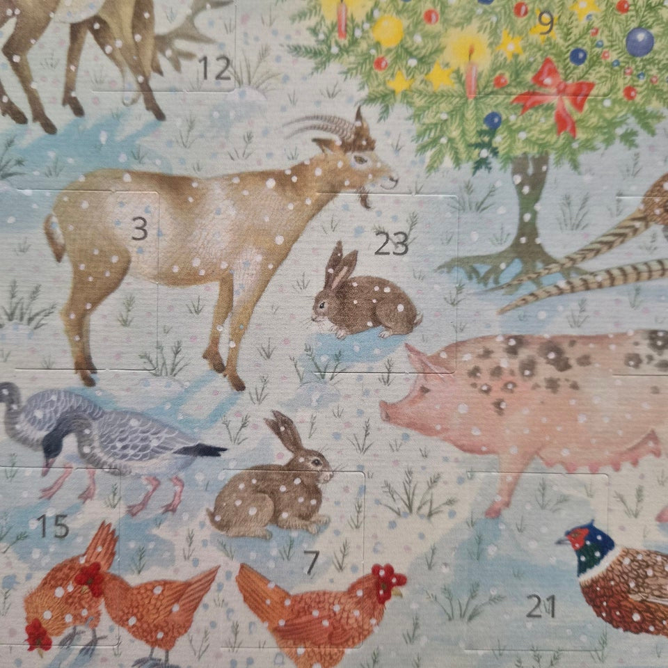 Christmas Magic Advent Calendar