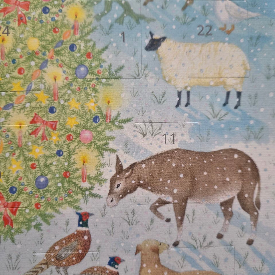 Christmas Magic Advent Calendar