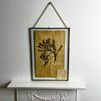 Antique French Herbiere Original in Nkuku Frame