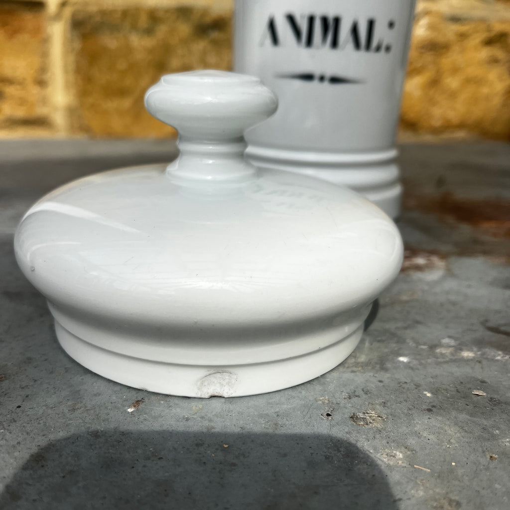 Antique White Ceramic Apothecary Jar Labelled 'Sapo Animal'