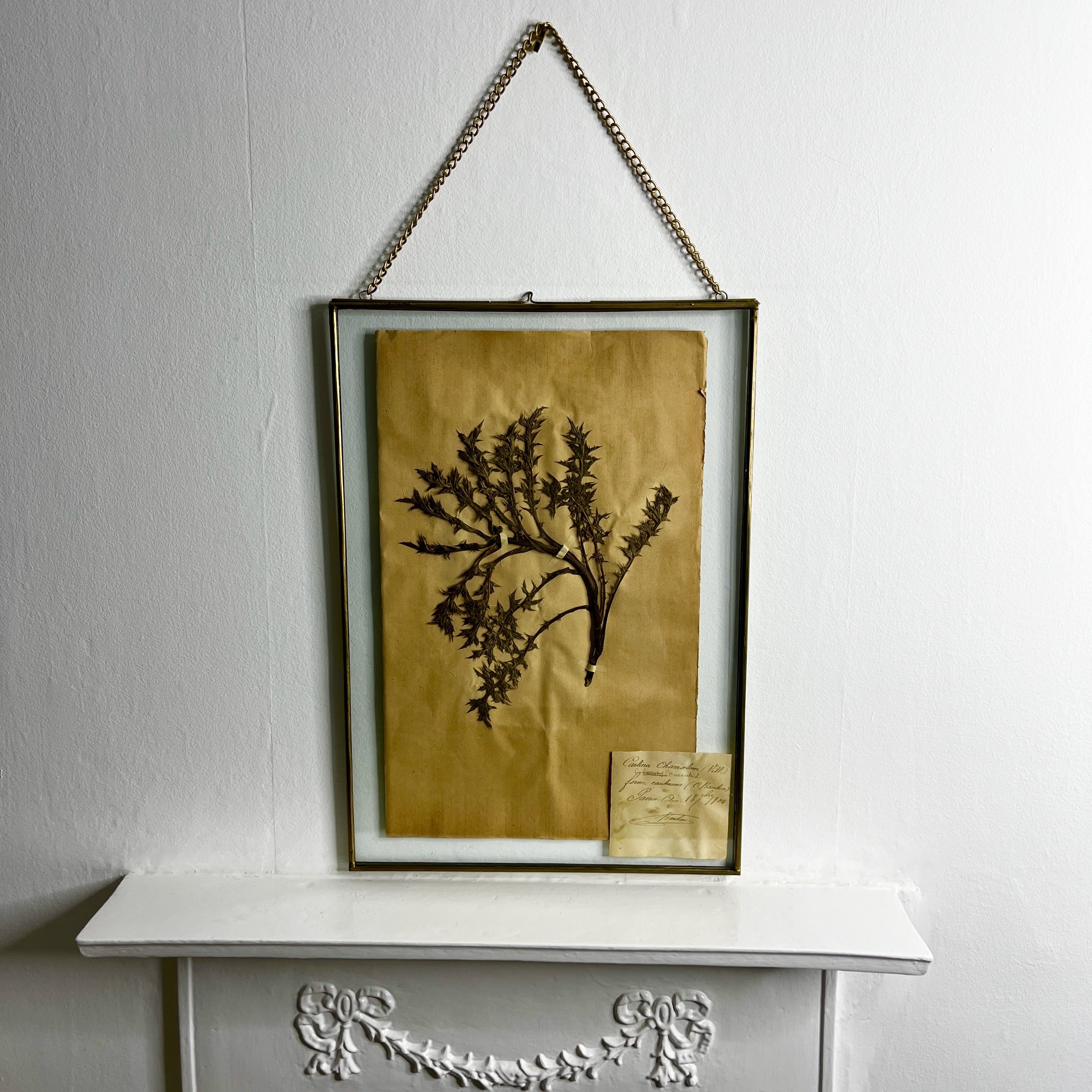Antique French Herbiere Original in Nkuku Frame