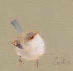 Pack of Small Bird Cards