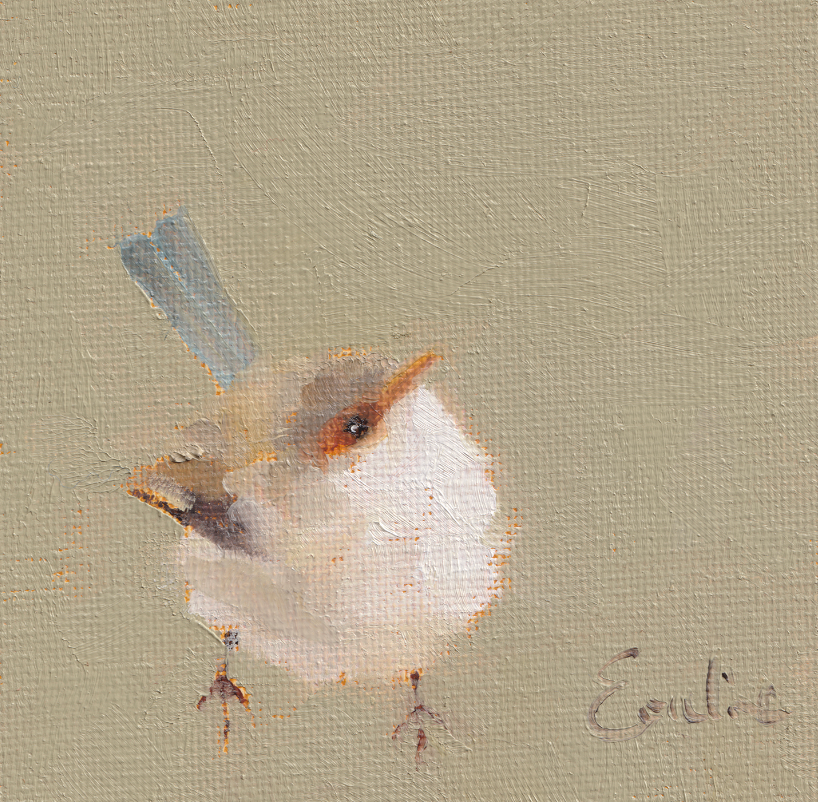 Pack of Small Bird Cards