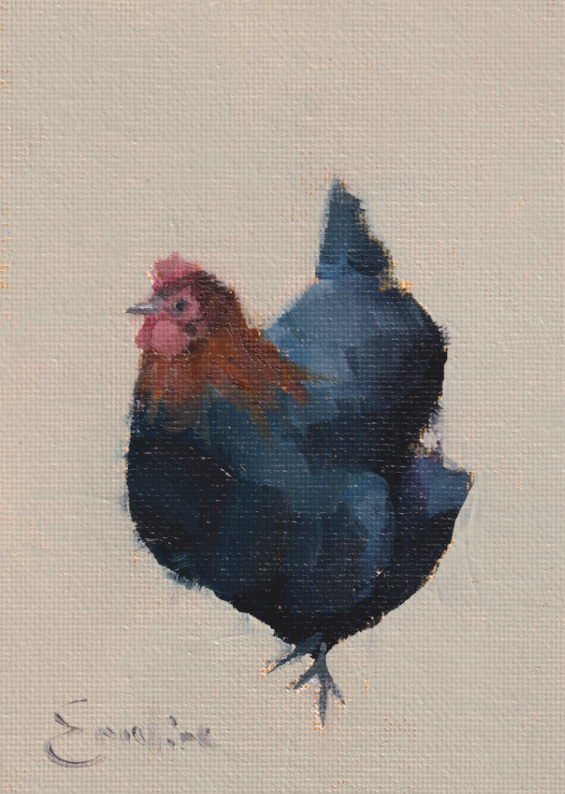 Pack of 4 Chicken Cards