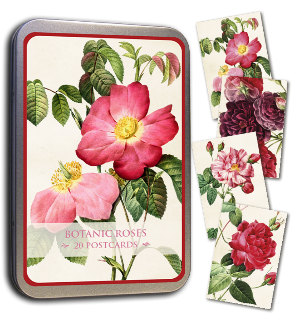 20 Postcard In A Tin | Botanical Roses