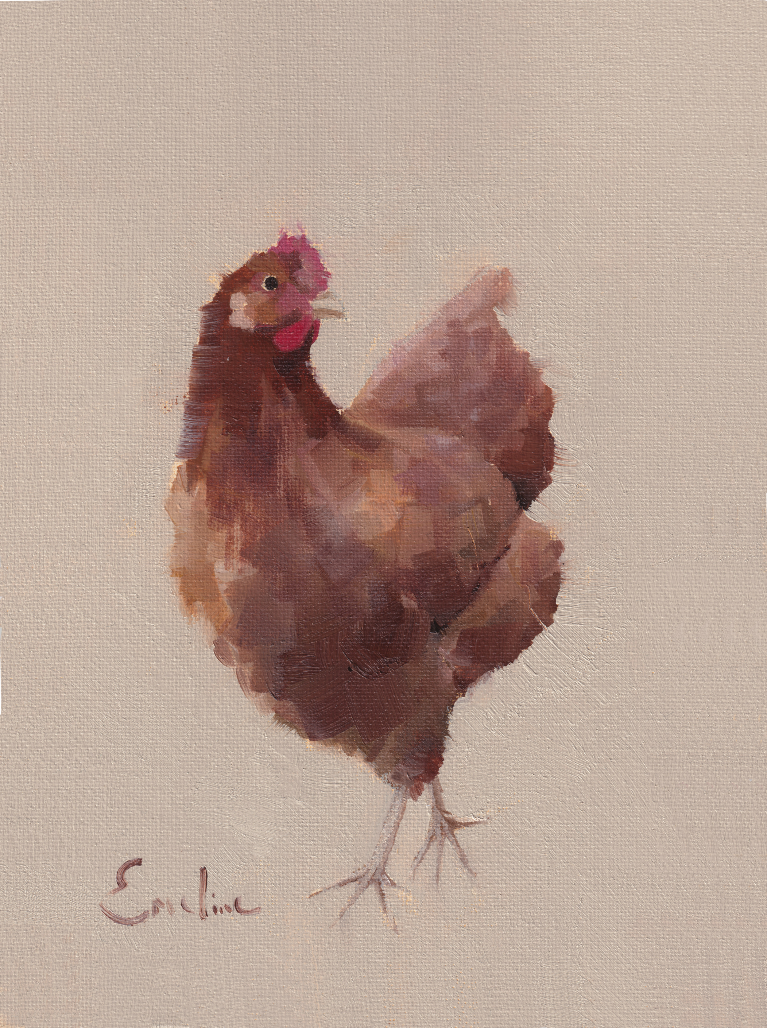 Pack of 4 Chicken Cards