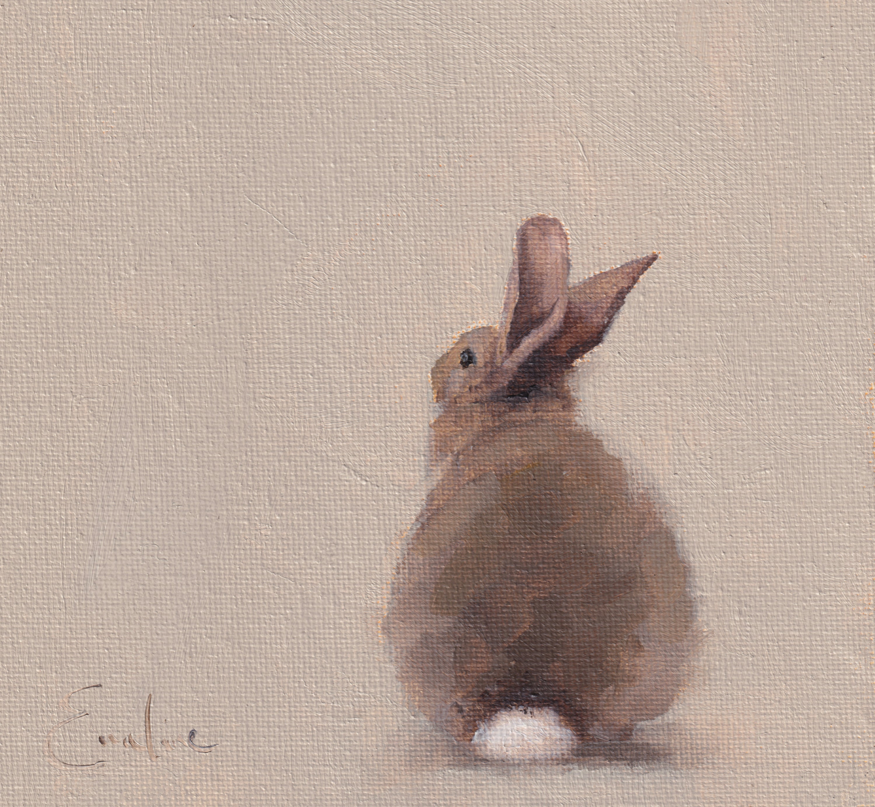 Pack of 4 Bunny Cards
