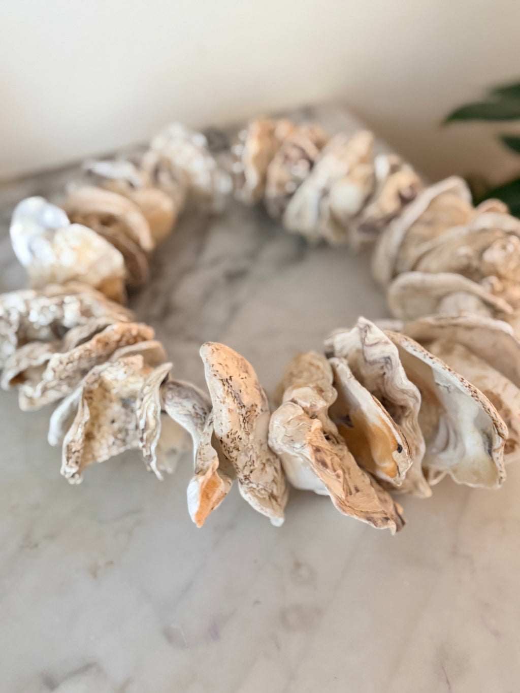 Clam Shells Garland Wall Hanging