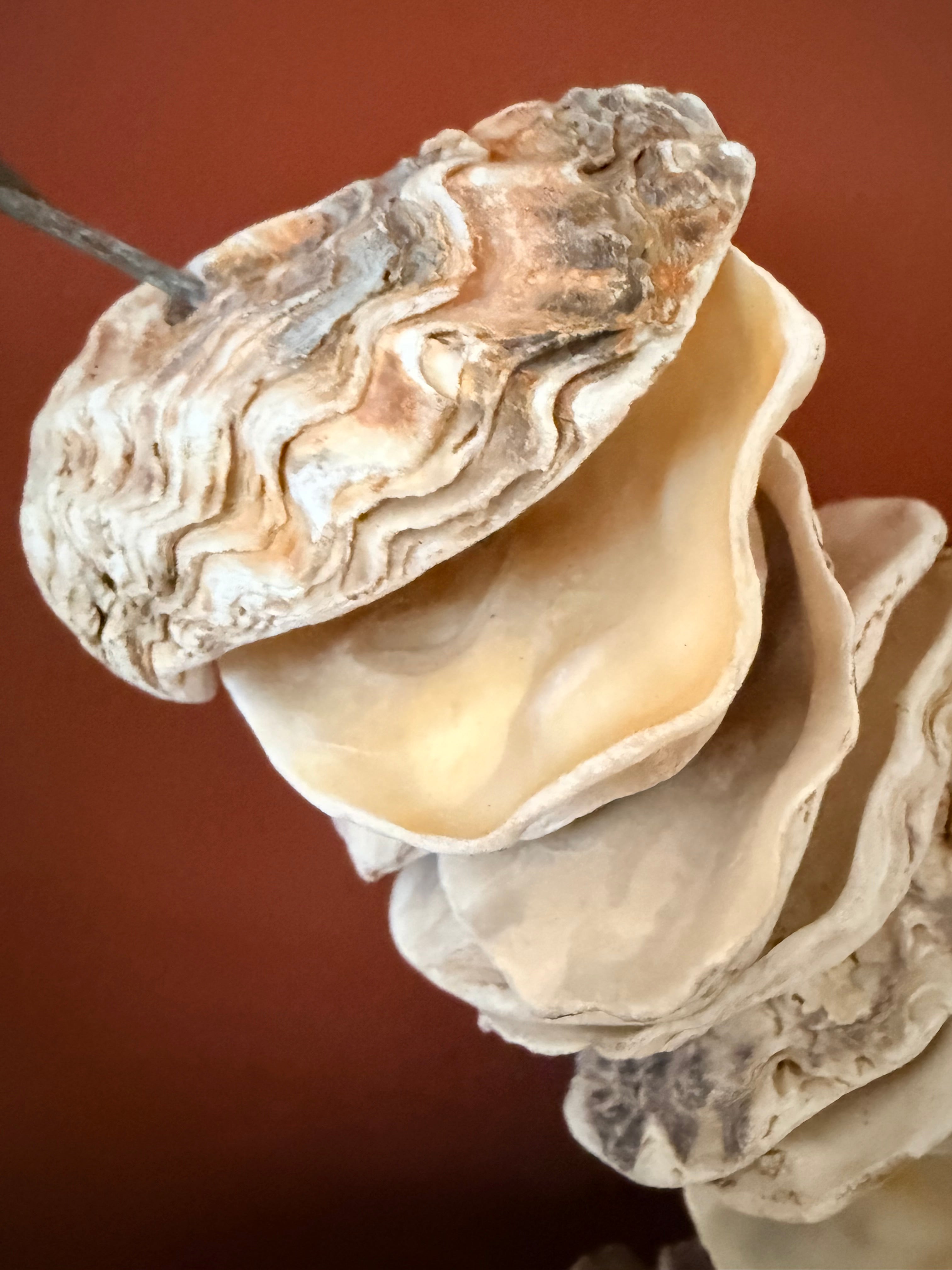Clam Shells Garland Wall Hanging