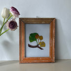 NEW GINKGO LEAVES AND MUSHROOMS Indian glass painting