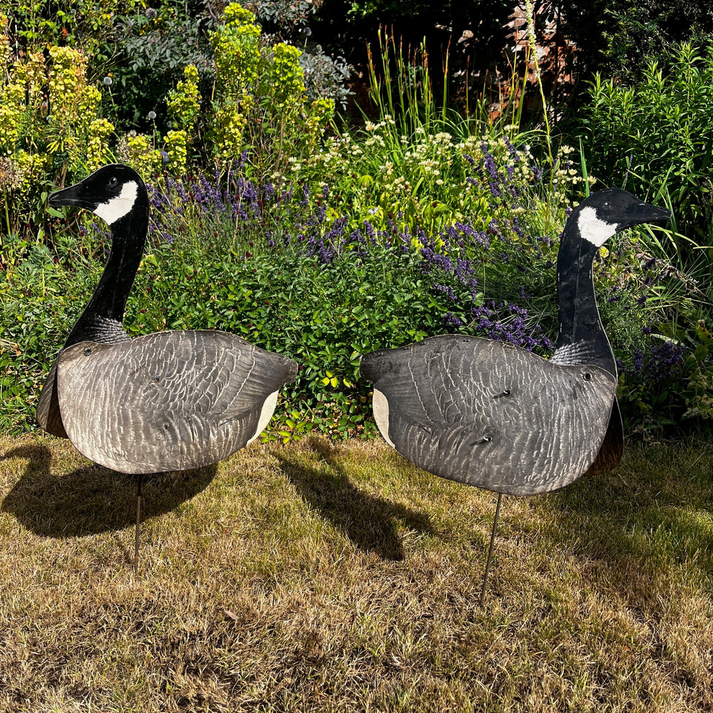 American Vintage Canadian Goose Hunting Decoy