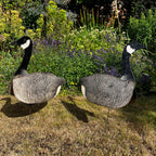 American Vintage Canadian Goose Hunting Decoy