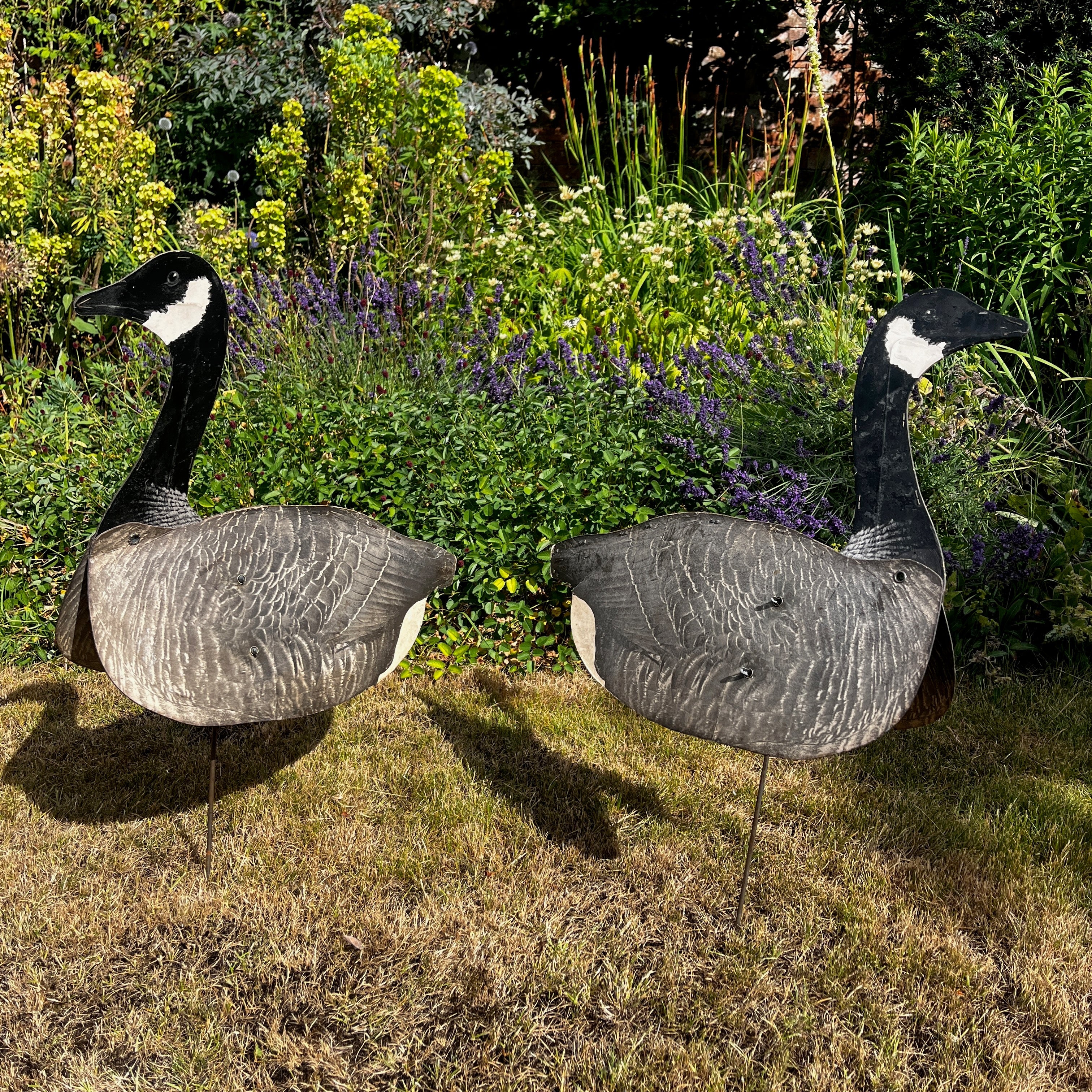 American Vintage Canadian Goose Hunting Decoy