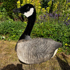 American Vintage Canadian Goose Hunting Decoy