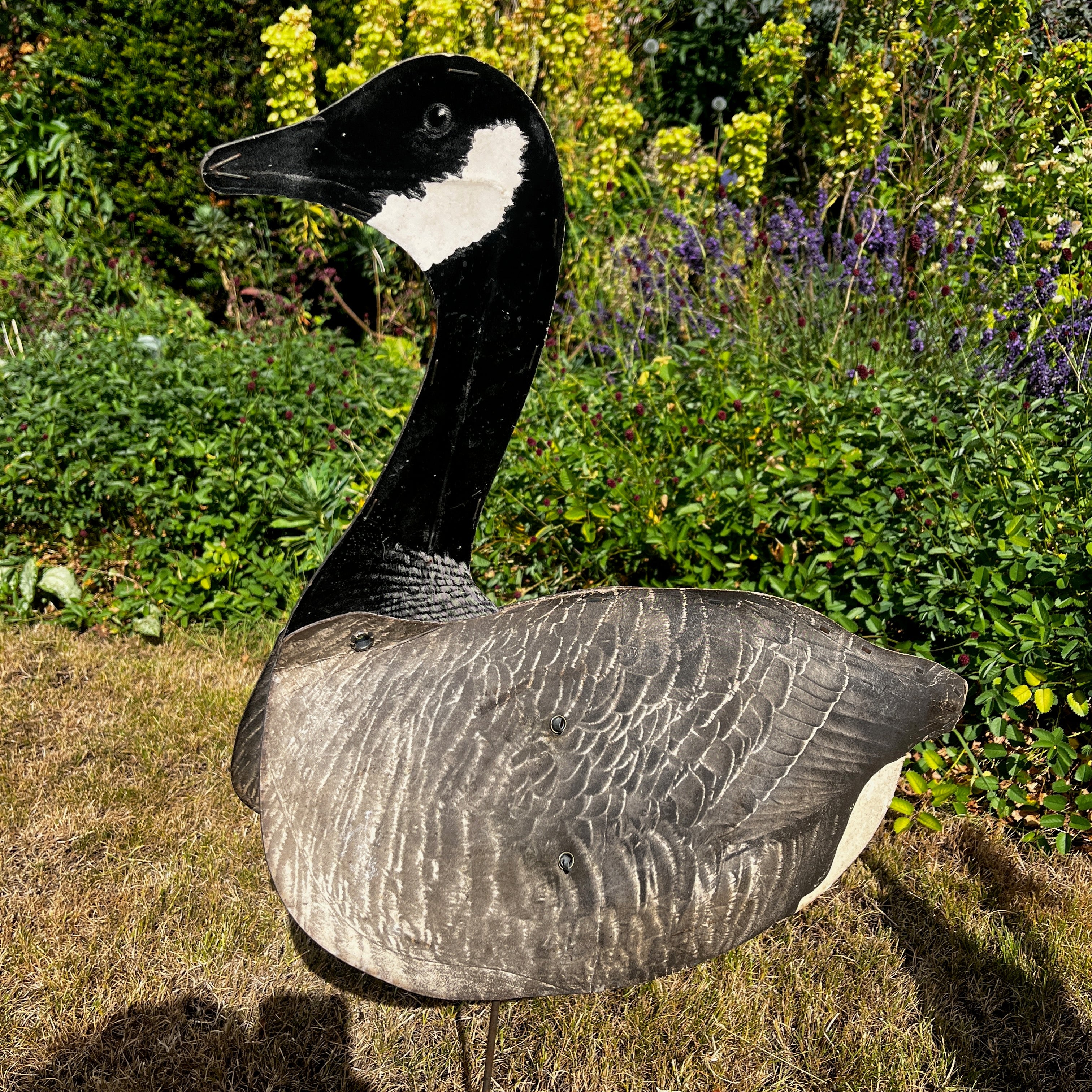 American Vintage Canadian Goose Hunting Decoy
