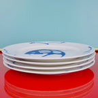 Fish Plate