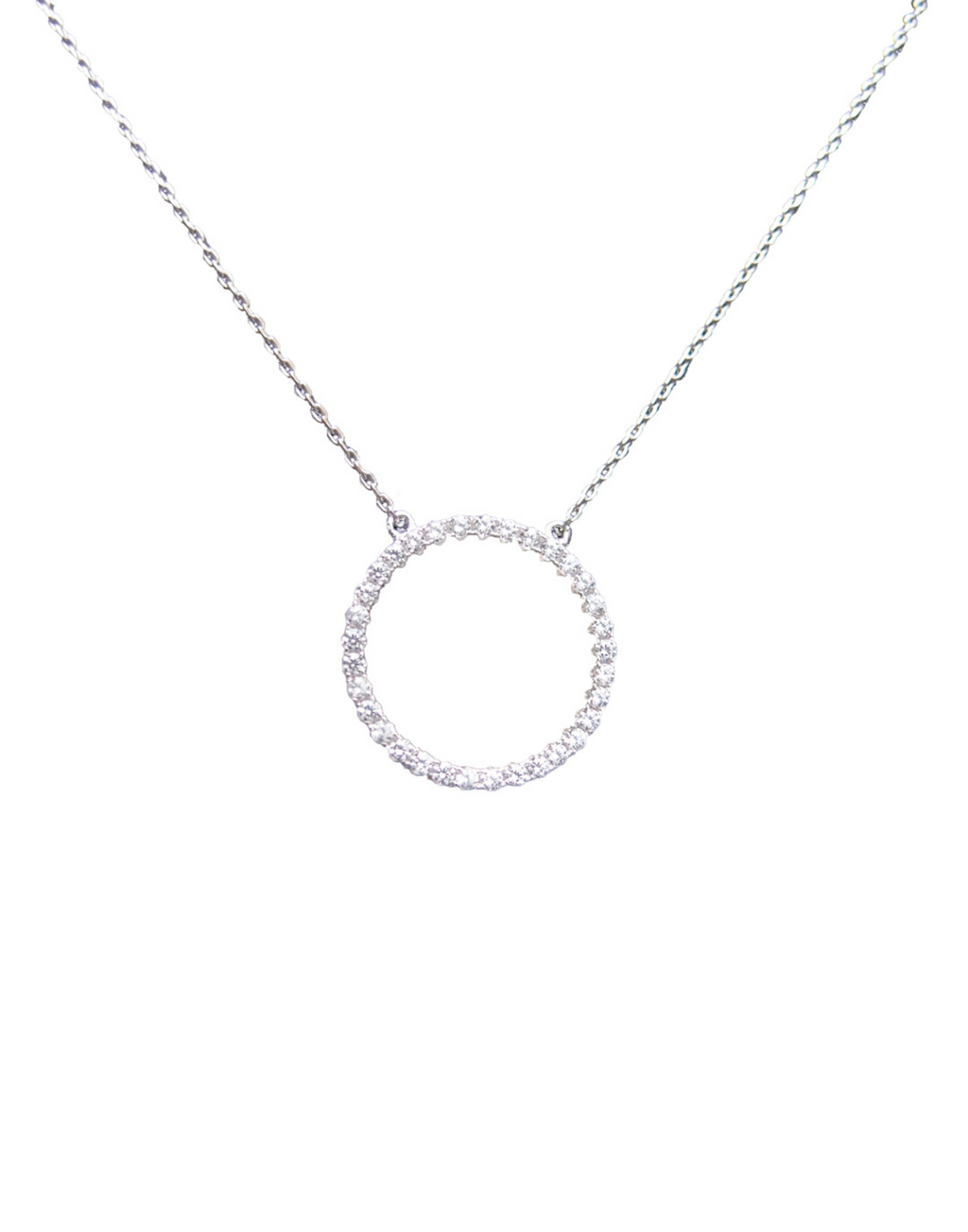 Circle of Life Silver Necklace