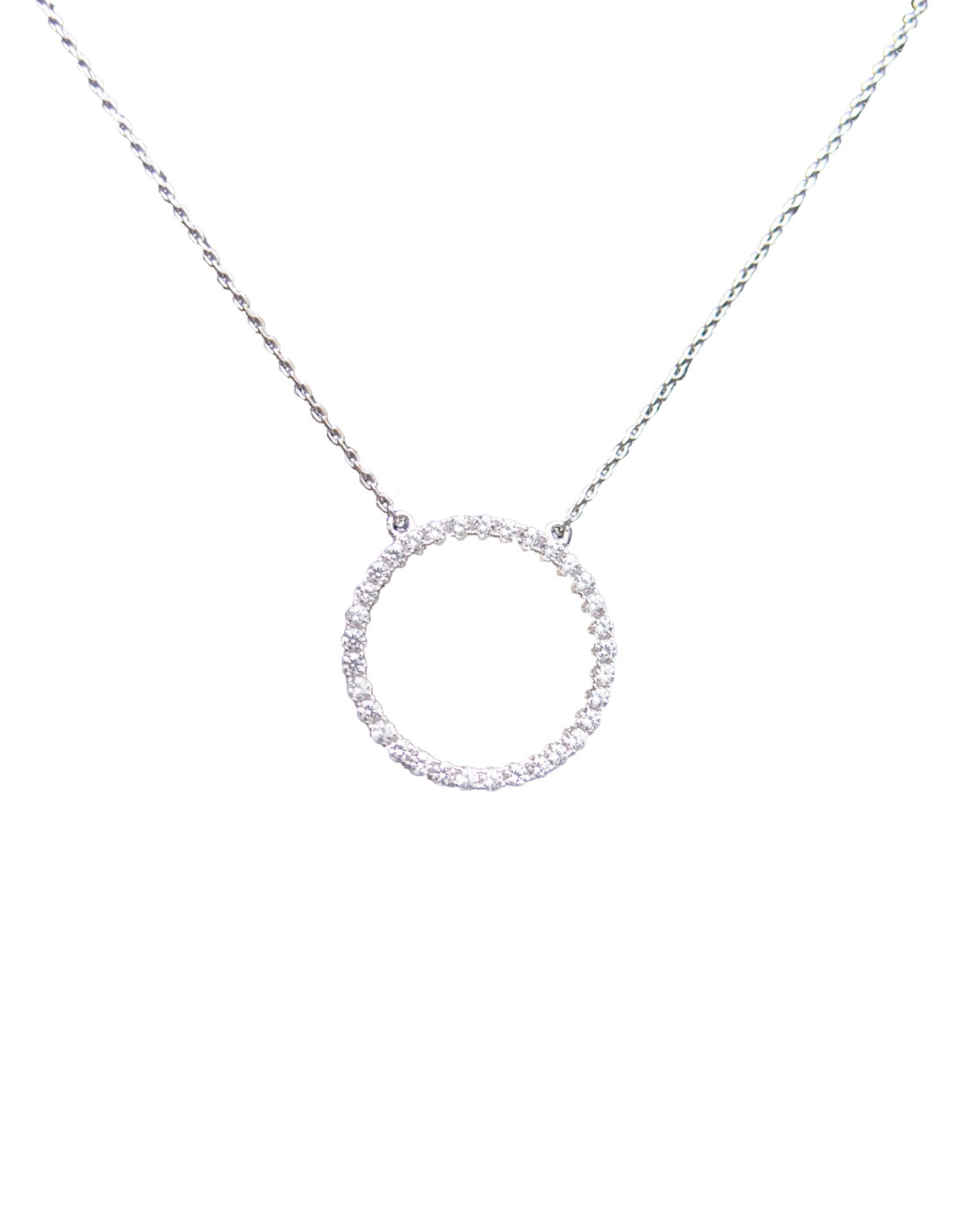 Circle of Life Silver Necklace