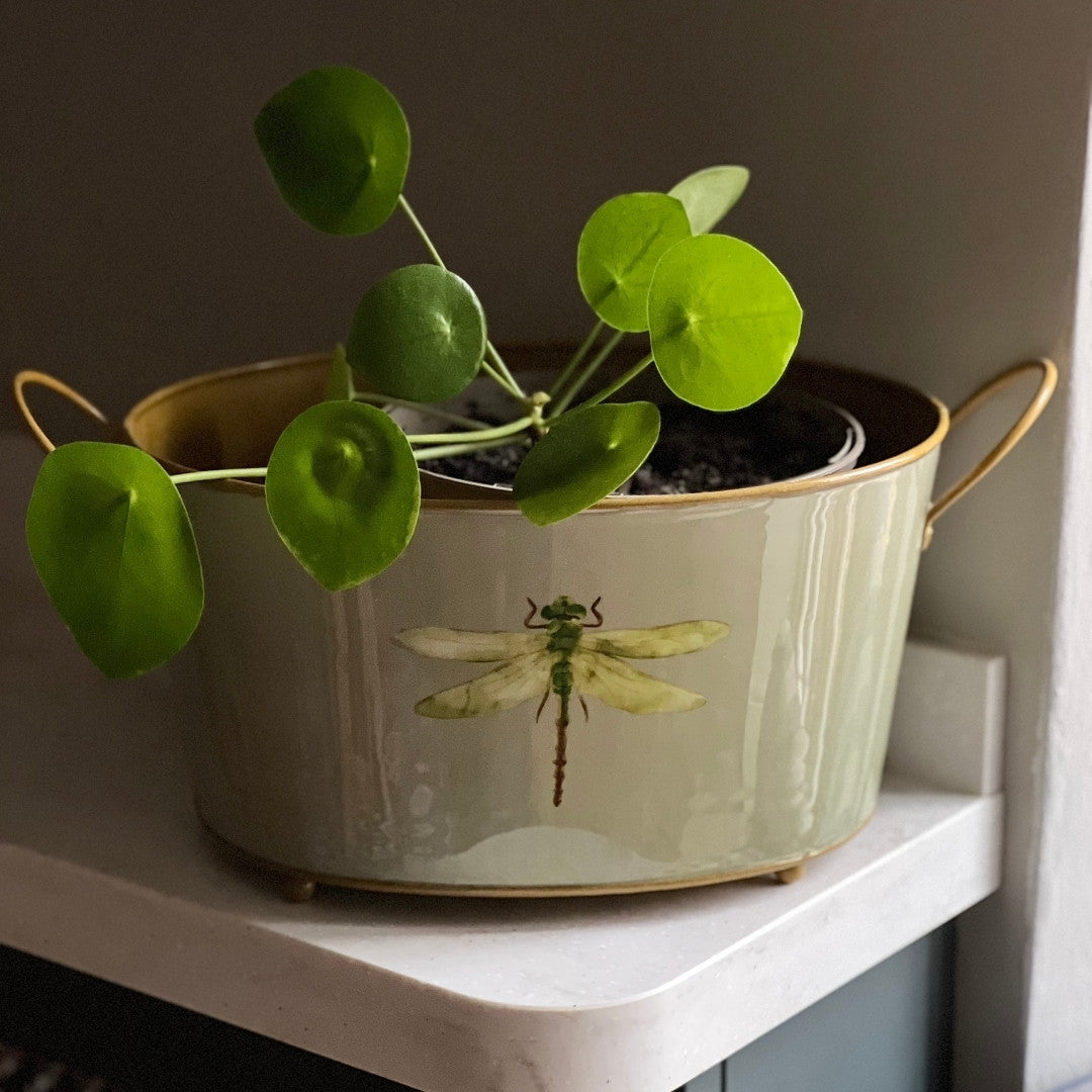 Enamel Planter
